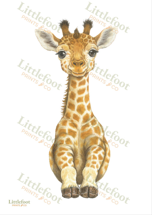 Giraffe Keepsake Print