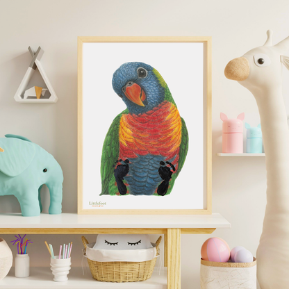 Rainbow Lorikeet Keepsake Print
