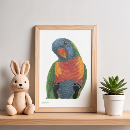 Rainbow Lorikeet Keepsake Print