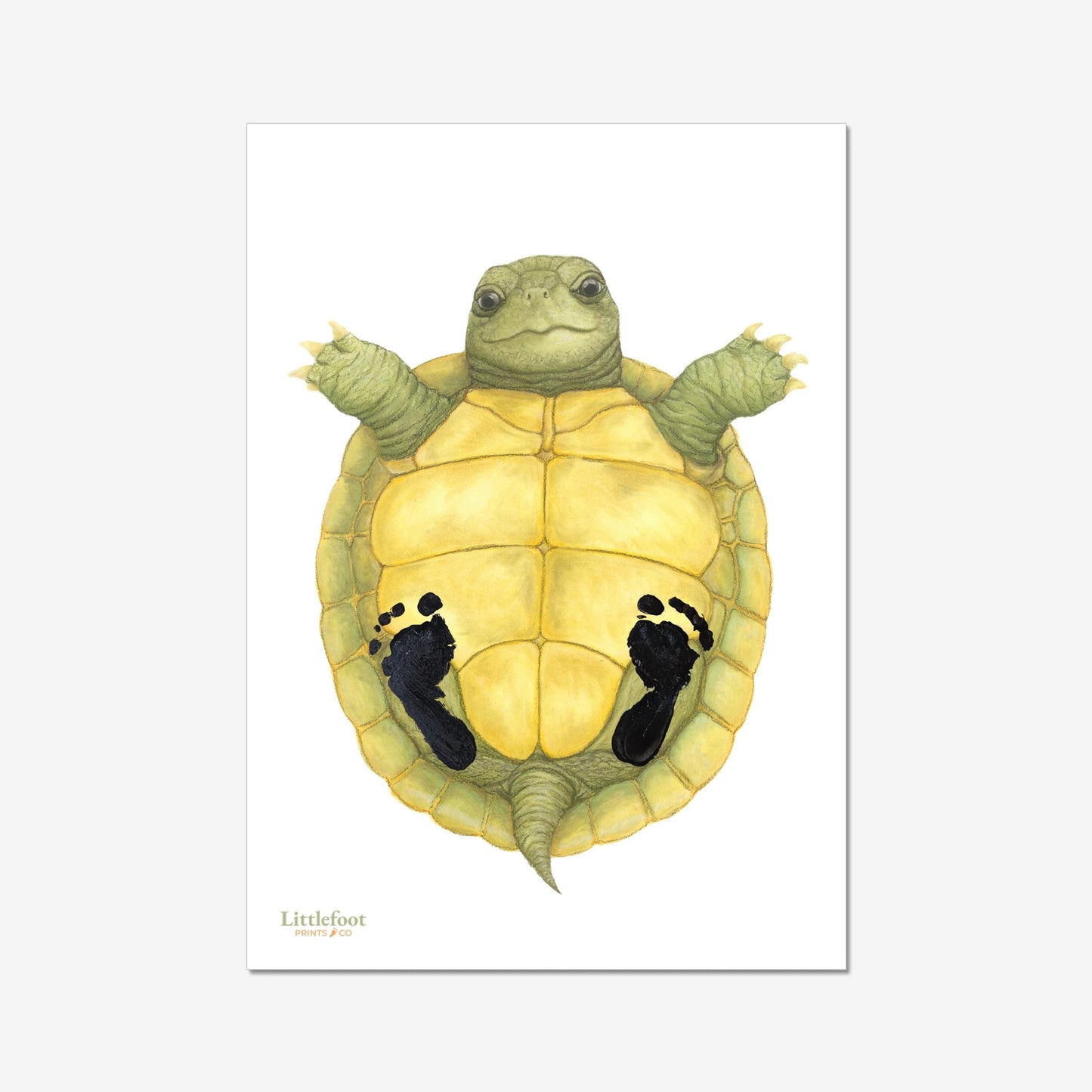 Tortoise Keepsake Print
