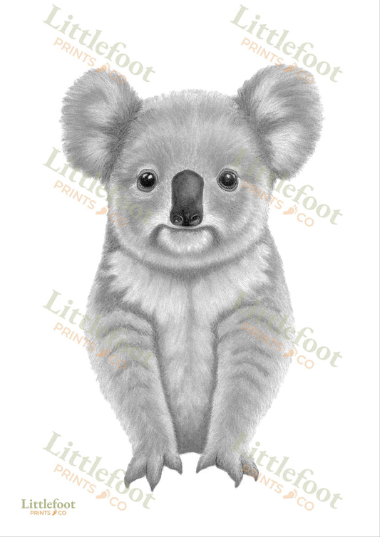 Koala Keepsake Print