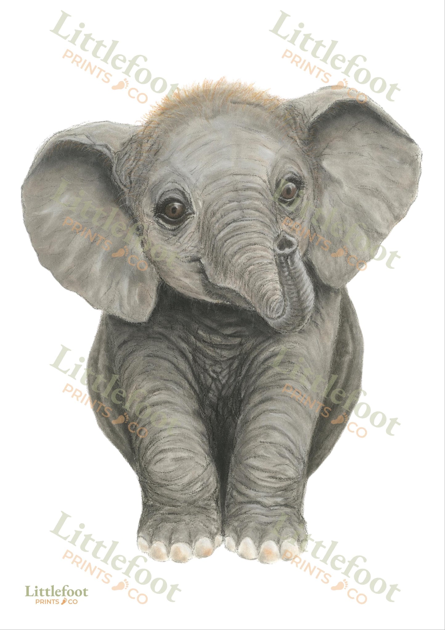 Elephant Keepsake Print