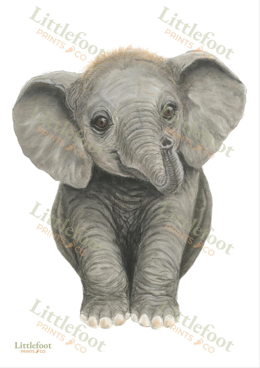Elephant Keepsake Print