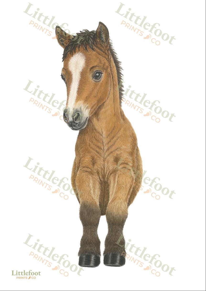 Horse / Pony Keepsake Print