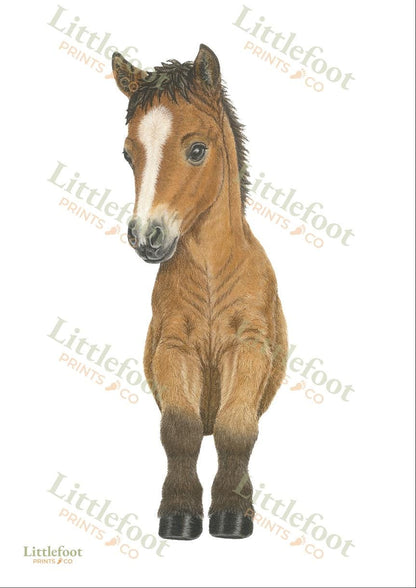 Horse / Pony Keepsake Print
