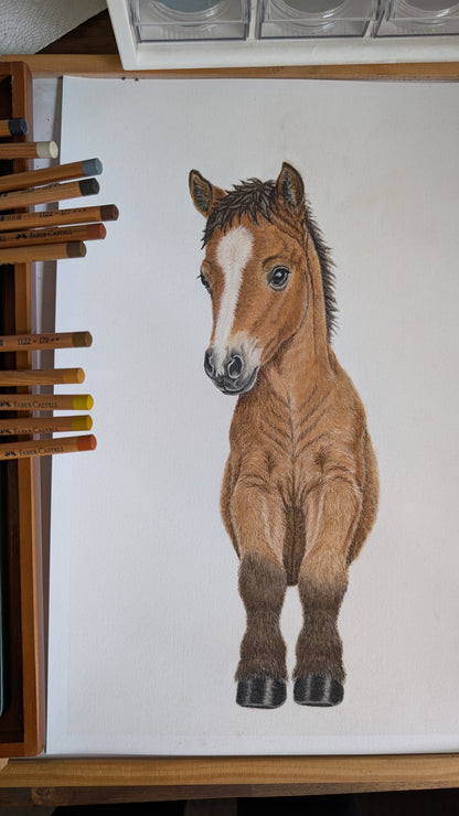 Horse / Pony Keepsake Print