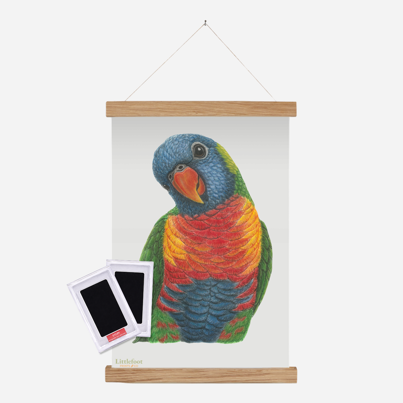 Rainbow Lorikeet Keepsake Print