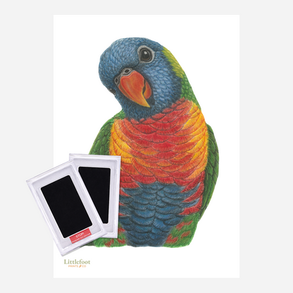 Rainbow Lorikeet Keepsake Print
