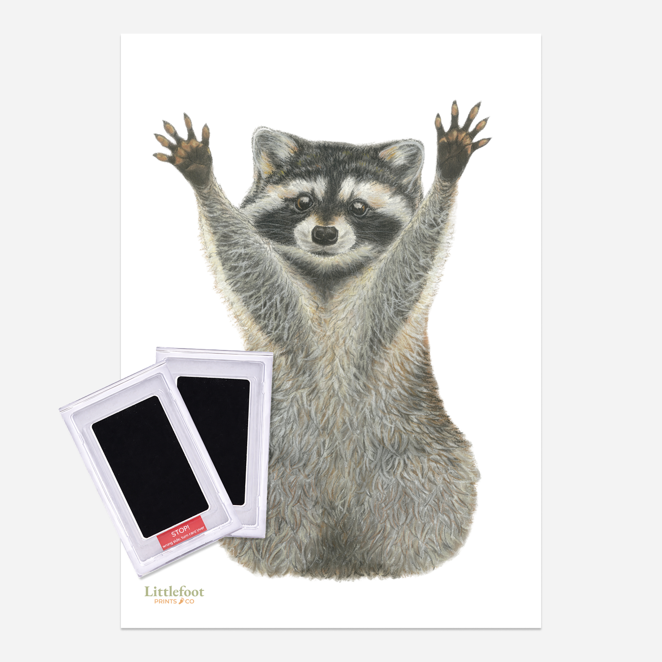 Raccoon Keepsake Print