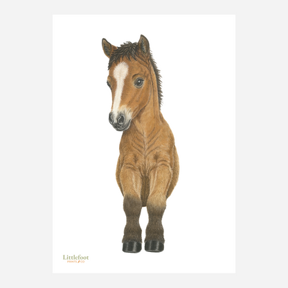 Horse / Pony Keepsake Print