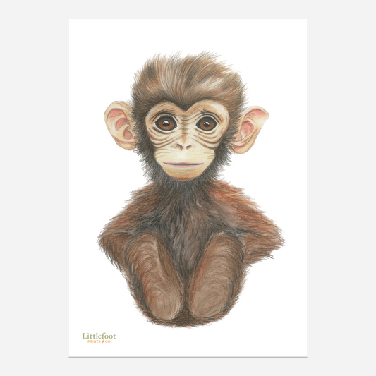 Monkey Keepsake Print