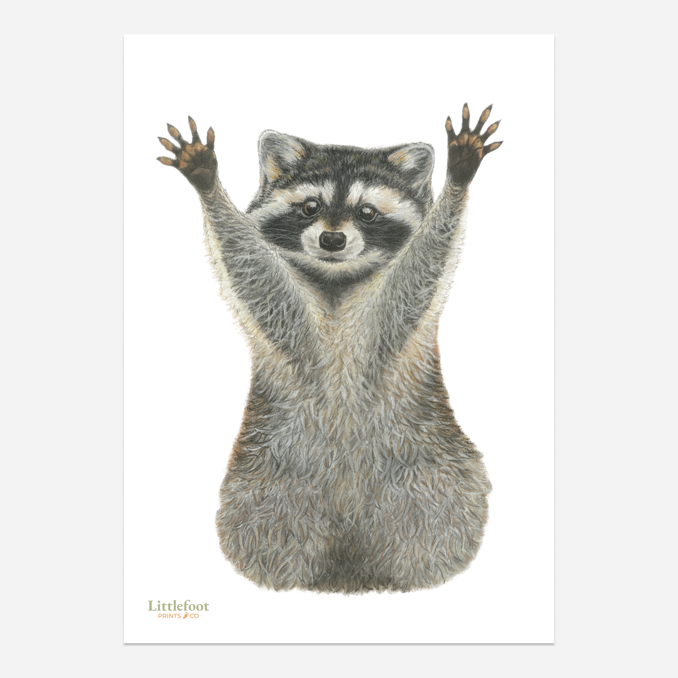 Raccoon Keepsake Print