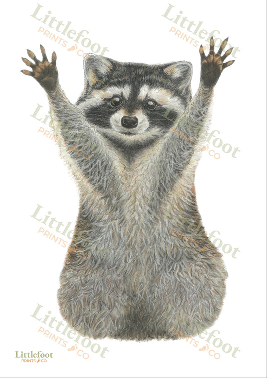 Raccoon Keepsake Print