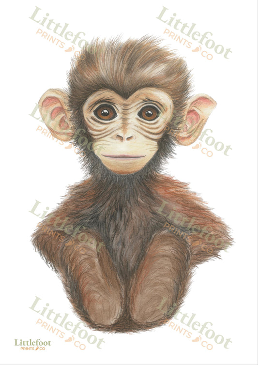 Monkey Keepsake Print